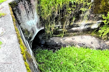 Los lugareños sostienen que esta tubería no se abastece y se obstruye con los matorrales.