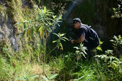 Xander se adentra a lugares recónditos para documentar sus problemas.