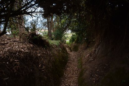 Allí se conservan los ancestrales culuncos de los Yumbos.