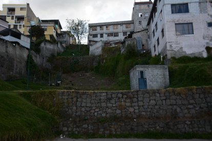En este lugar antes había un parque ecológico, ahora hay diferentes animales.