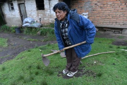 Las herramientas también son conservadas en el lugar.