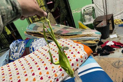 Hay reos que conservan prendas interiores femeninas como 'trofeos' de las visitas íntimas que reciben.