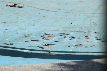 a casi ni limpian la zona de la piscina que se va llenando de hojas secas.