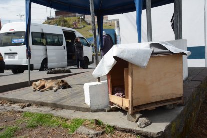 Los moradores, incluso, han construido dos casas, pero una fue robada.
