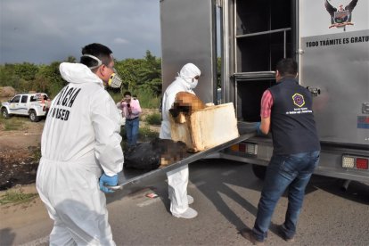 Alexander Contento mantuvo guardadas en un congellador las partes de su novioa descuartizada, por 19 días.