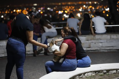 Las mascotas también  disfrutan del aire puro del mirador. Jordan, un pequeño shit zu, se divirtió en el espacio.