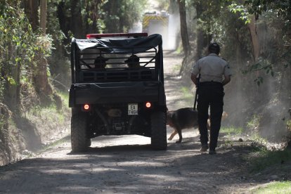 En las tareas también colaboraron miembros del Cuerpo de Bomberos de Quito.