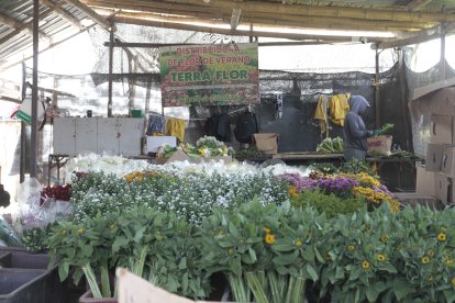 Los cultivos de flores resultaron afectados.