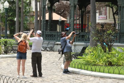 ¡Escenario ideal para las fotos! El parque Seminario es uno de los sitios más turísticos de la ciudad. Los extranjeros y visitantes encuentran en este espacio, además, un sitio para el relax y descanso.