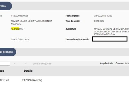 Pantallazo del proceso por alimentos que interpuso Letty.