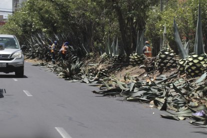 En las avenidas 10 de Agosto y Atahualpa esto se observó.