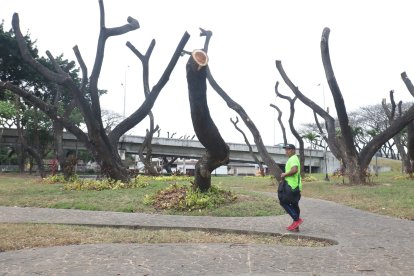 El sector de La Ferroviaria luce como escenario para una película de terror.