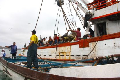 Cerca de 7,2 millones de personas se beneficiarían de la pesca, en el Ecuador.
