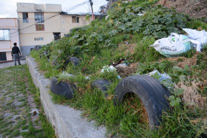Los vecinos también suelen botar basura por el lugar.