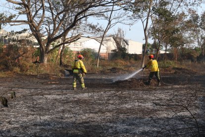 Los incendios forestales son comunes en días con alta radiación.
