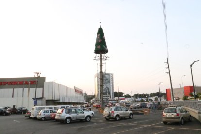 El árbol del Policentro, este 18 de octubre de 2023.