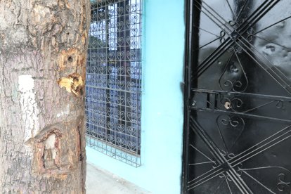 Las huellas de los impactos de los proyectiles.