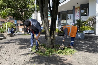 Residentes y trabajadores de la zona se unieron para trabajar por La Mariscal.