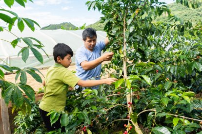 Vuelve la feria del mejor café del sur de Ecuador.