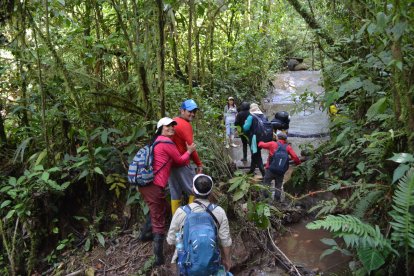 El recorrido por la montaña puede durar hasta una hora, depende de las destrezas de los turistas.