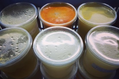 Puedes guardarlos en frío y usarlos cuando sea necesario.