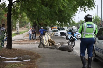 Los cadáveres estaban a un costado de la vía.