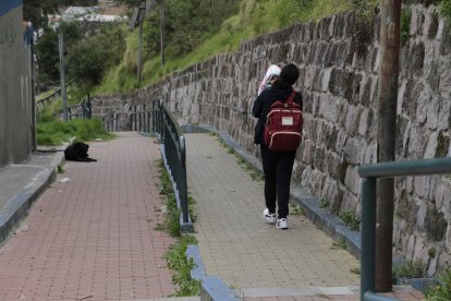 Este sendero que conecta a los sectores El Placer y San Roque se dejaría de utilizar cuando hay poco flujo de personas.