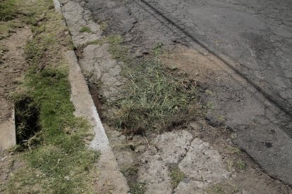 Los moradores cubrieron la sangre de la víctima con tierra y césped luego del crimen.