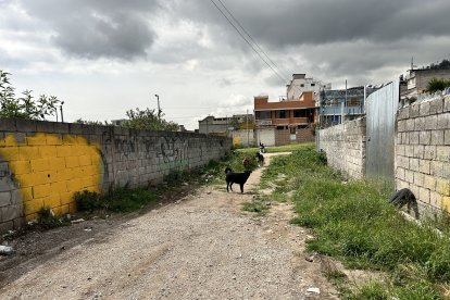 Los moradores piden que sus vías sean intervenidas.