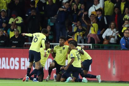 El gol de Ángel Mena le da a la selección tres puntos valiosos.