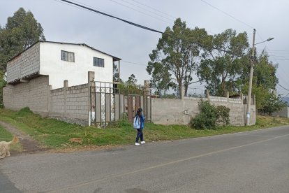 Por la casa  donde están los canes suelen pasar niños hacia o de regreso a su escuela.