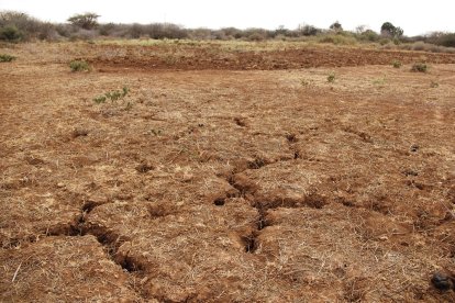 Según las predicciones para el próximo año, se prevé un periodo complicado en algunos países por la sequía.