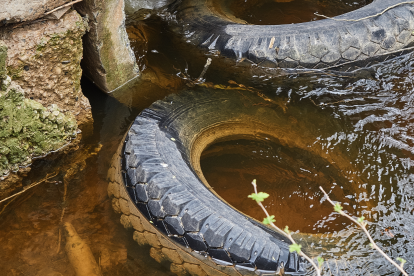 Las buenas prácticas de higiene son fundamentales para evitar la propagación de enfermedades.