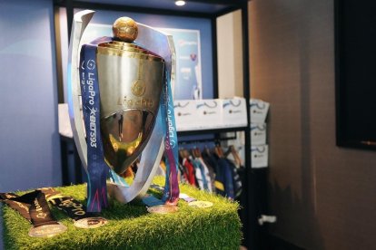 La LigaPro es el torneo de fútbol ecuatoriano de primera división.