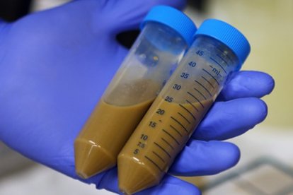 Algunas de las personas que han realizado el 