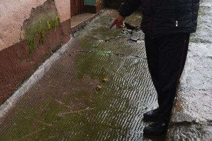 En las veredas los lugareños deben sortear las heces que dejan los canes.