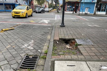 En un parterre de la calle Jerónimo Carrión, en la esquina de la avenida Amazona, hay daños.