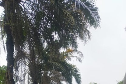 El hombre recibió al menos 26 tiros.