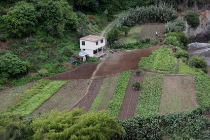 Los sembríos de la quebrada no son legales, según el cabildo.
