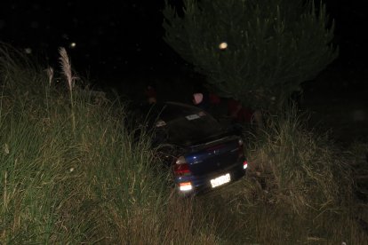 El auto que causó el segundo incidente se chocó contra un árbol.