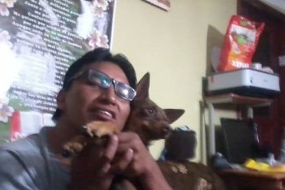 En esta imagen está el perrito que también fue apuñalado durante el femicidio.