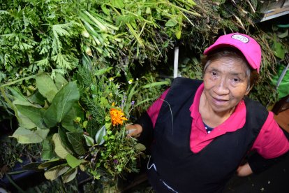 Su materia prima llega desde las partes altas de Quito y otras de la Amazonía.