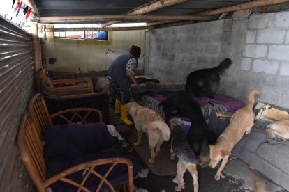 Los muebles de sus ‘habitaciones’ han sido donados por algunos padrinos.