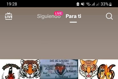 Grupos como Los Tiguerones hacen su presencia en redes.