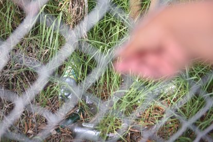 Algunas botellas son lanzadas también a un área verde.