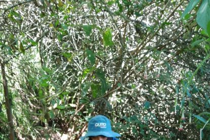 Los trabajadores ingresaron incluso en un área que se convertía en escombrera.