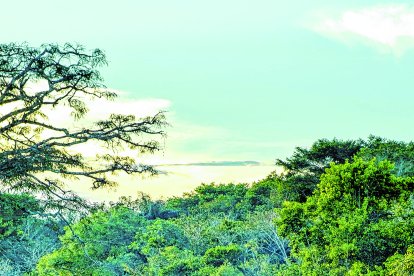 La Amazonía ecuatoriana es un paisaje de aventura para explorar.