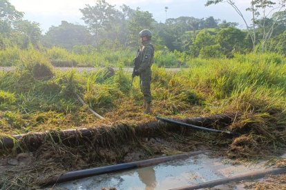 El acople fue localizado en Sucumbíos.