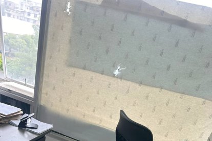 Las balas ingresaron por los ventanales superiores.