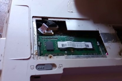 Alejar comida y bebidas dulces evitará la presencia de los insectos.